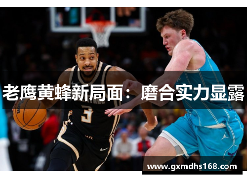 老鹰黄蜂新局面：磨合实力显露